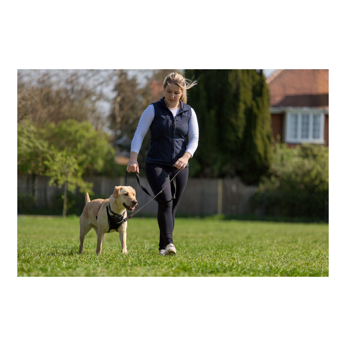 Hundsele Company of Animals Halti Storlek S (26-36 cm) - 16