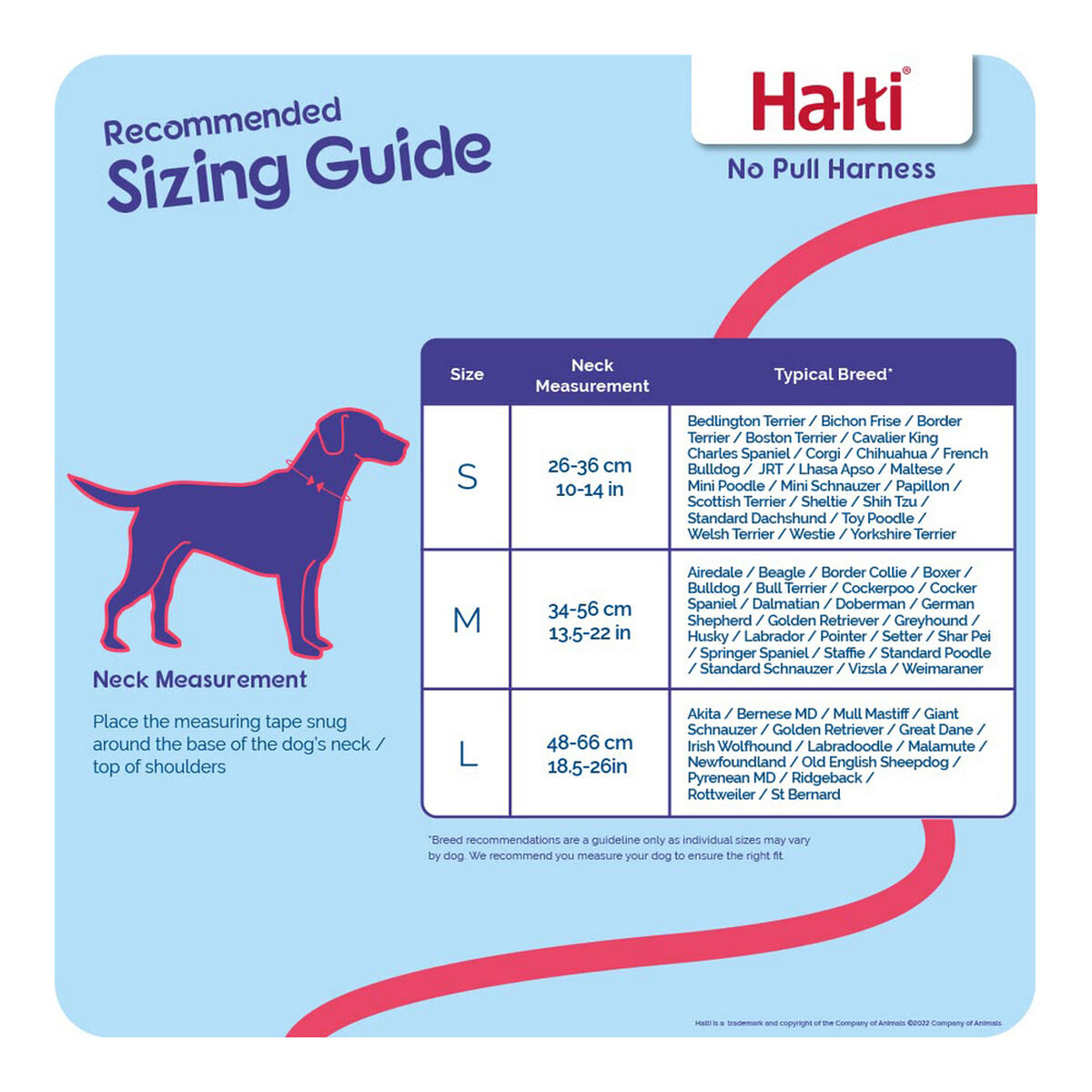 Hundsele Company of Animals Halti Storlek S (26-36 cm) - 23