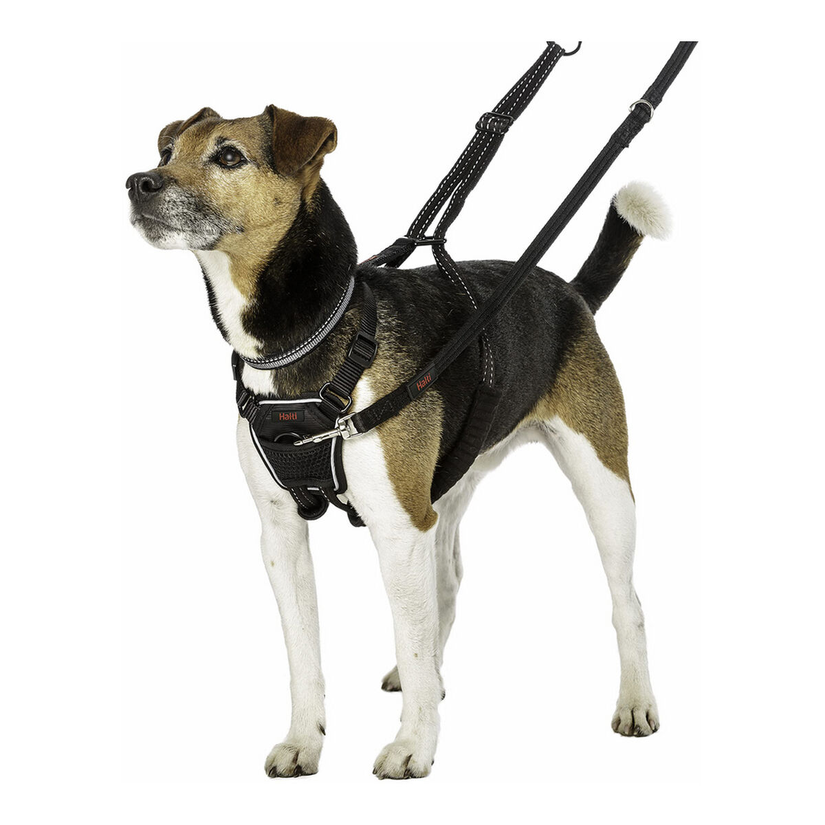 Hundsele Company of Animals Halti Storlek S (26-36 cm) - 18