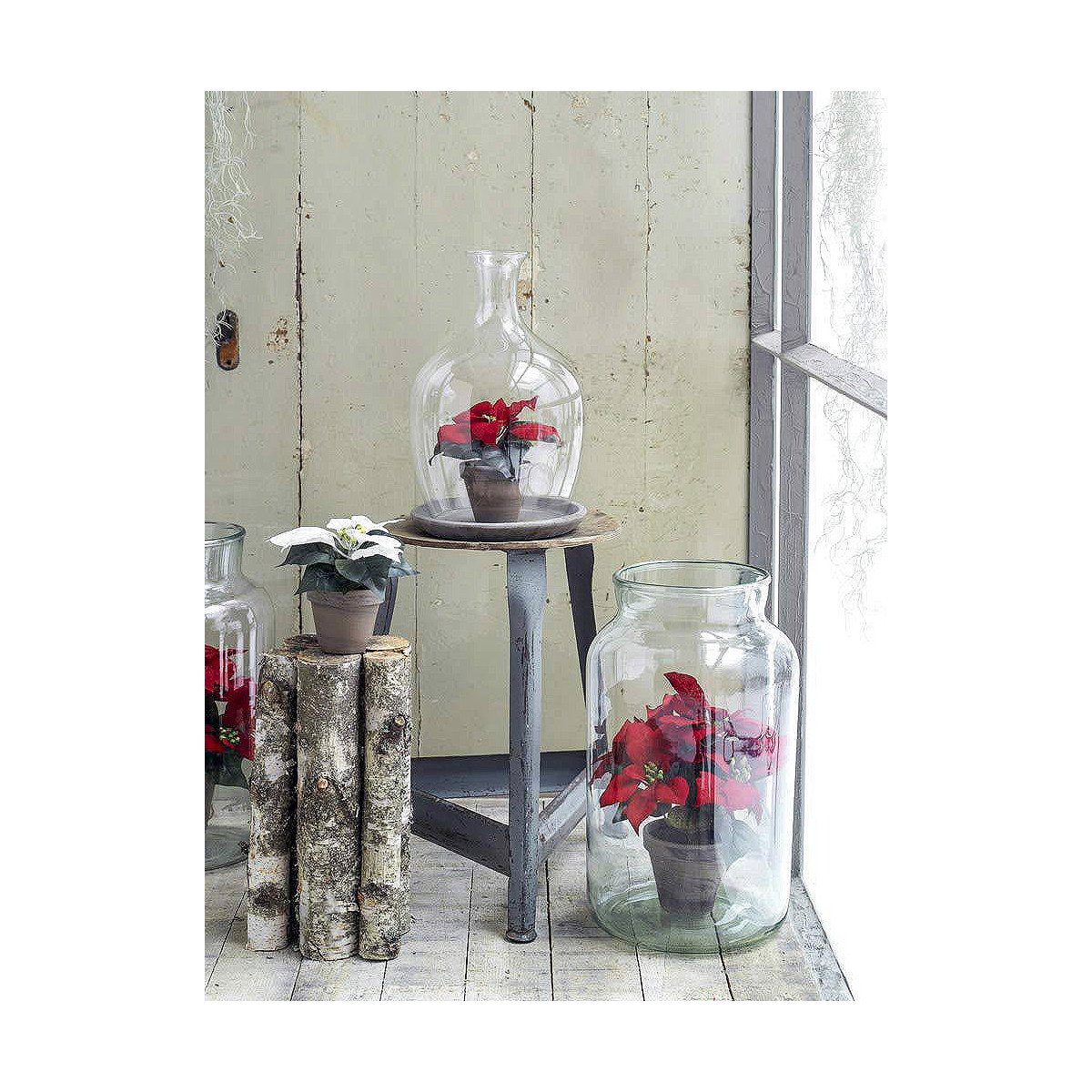 Dekorativ växt Mica Decorations Röd PVC - 2