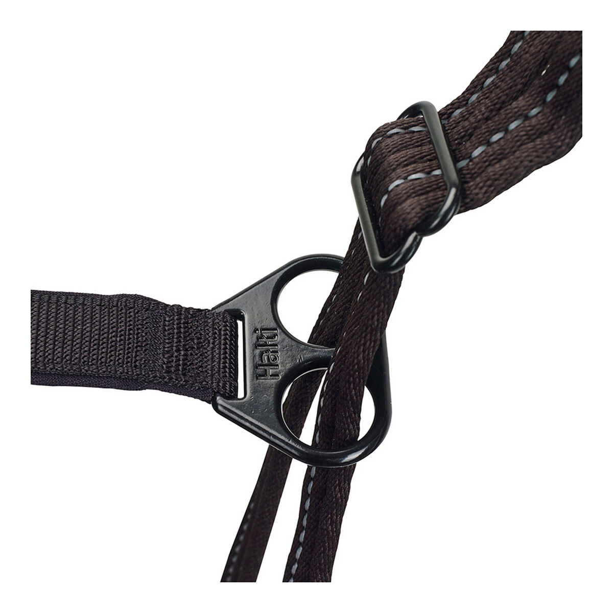 Hundsele Company of Animals Halti Storlek M (34-56 cm) - 13
