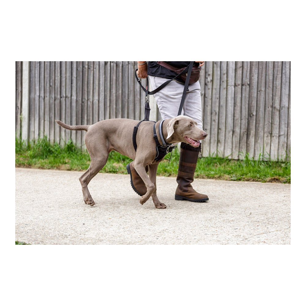 Hundsele Company of Animals Halti Storlek M (34-56 cm) - 6