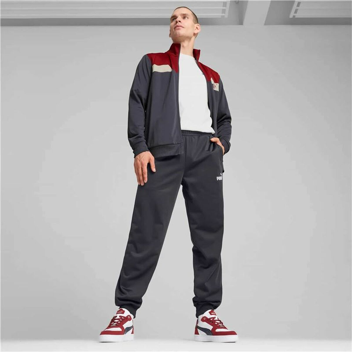 Träningsoverall, Vuxen Puma Power Poly Suit Grå Män 2 Delar - 3