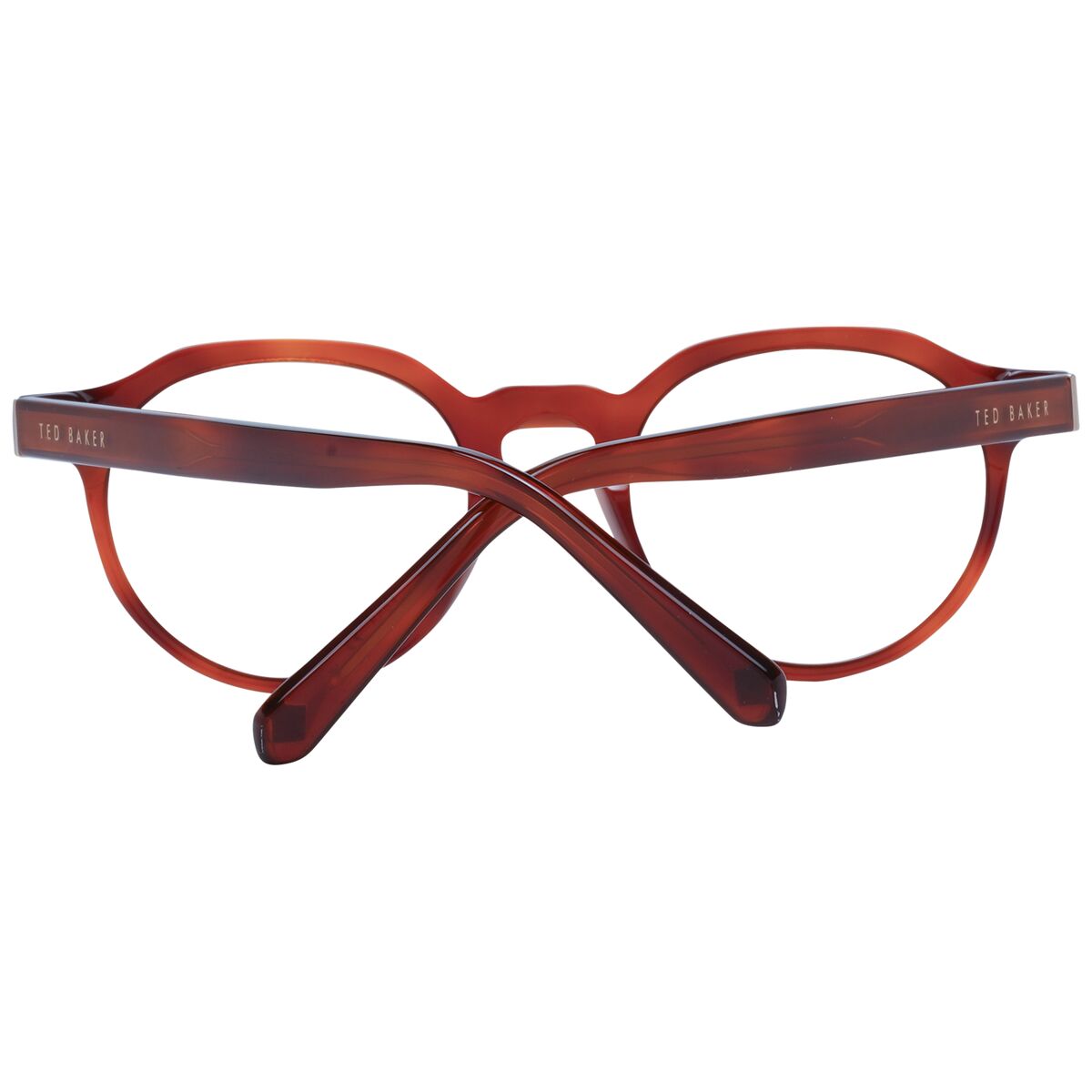 Glasögonbågar Ted Baker TB8245 48107 - 3