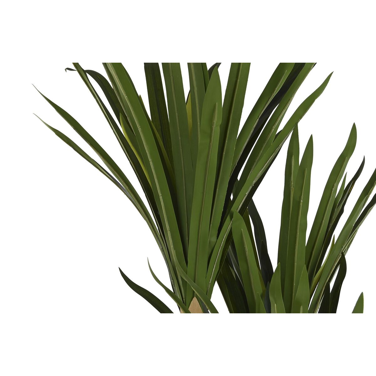 Dekorativ växt DKD Home Decor (80 x 80 x 180 cm) - 4
