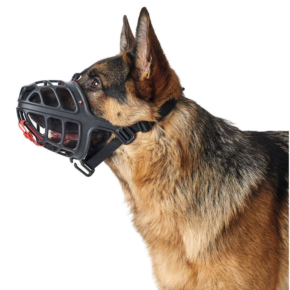 Munkorg Hunter Albury Svart Storlek 1 (45 cm) (21 cm) (5 cm) - 5