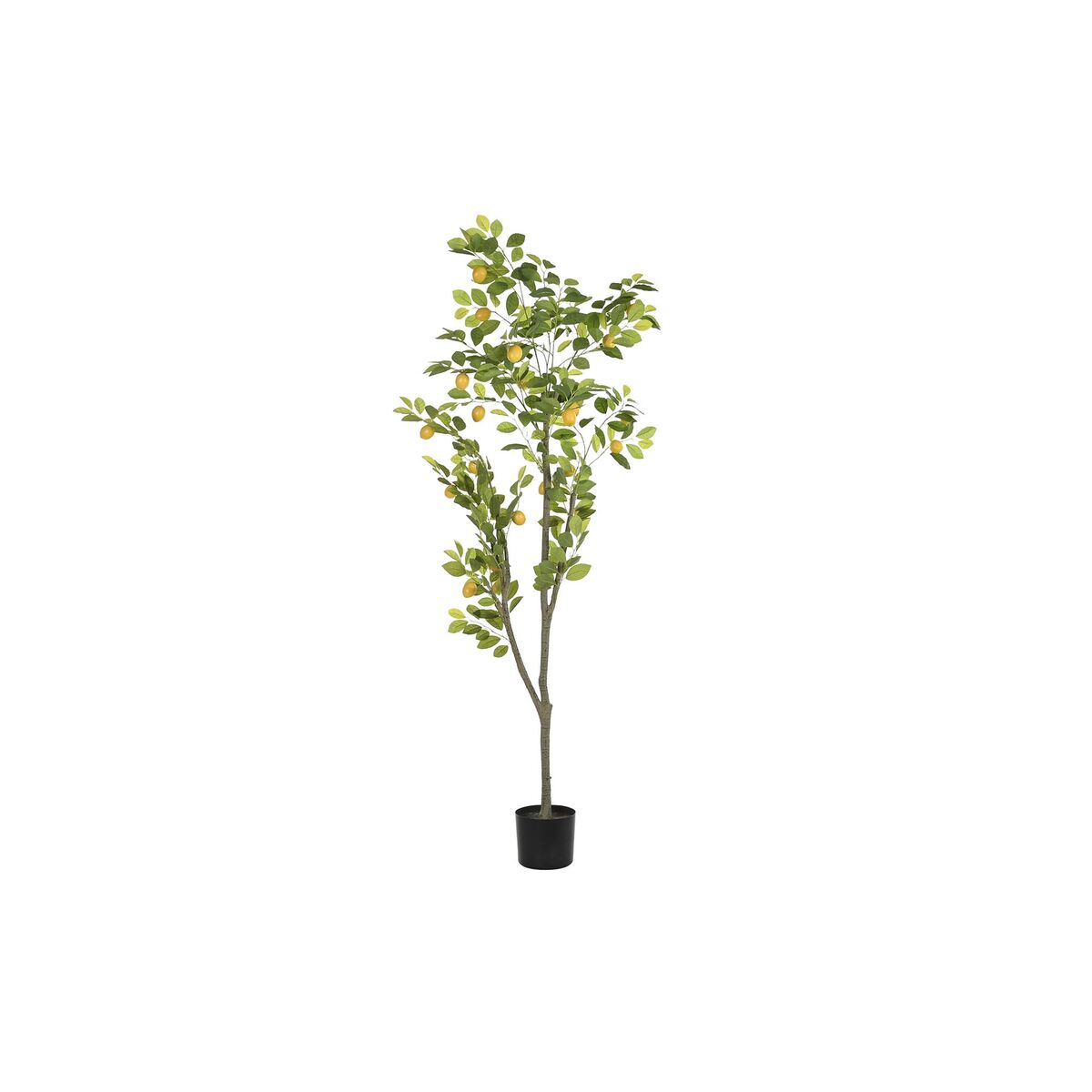 Träd DKD Home Decor Citronträd Polyester polypropen (90 x 90 x 180 cm)