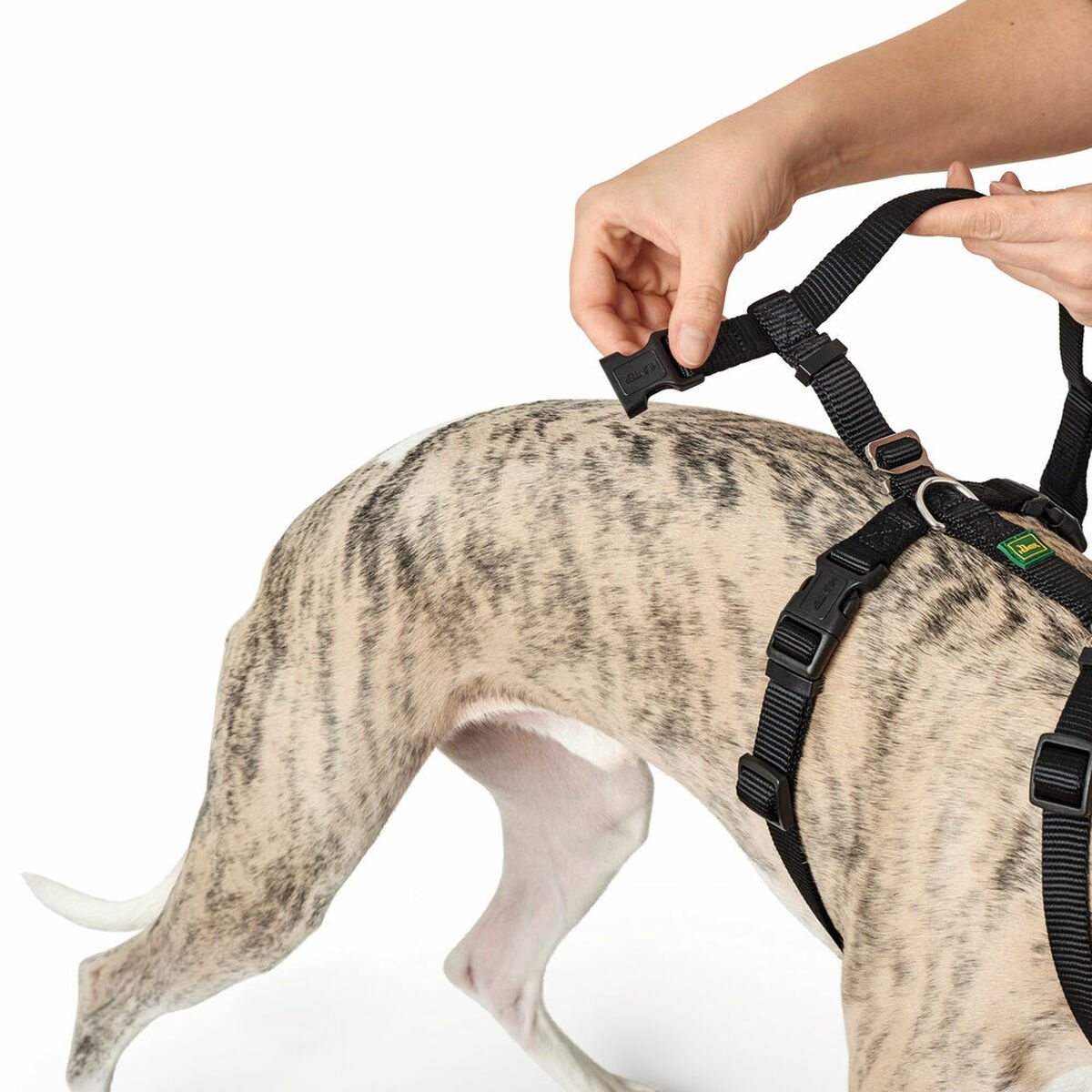 Hundsele Hunter Svart L M/L - 7