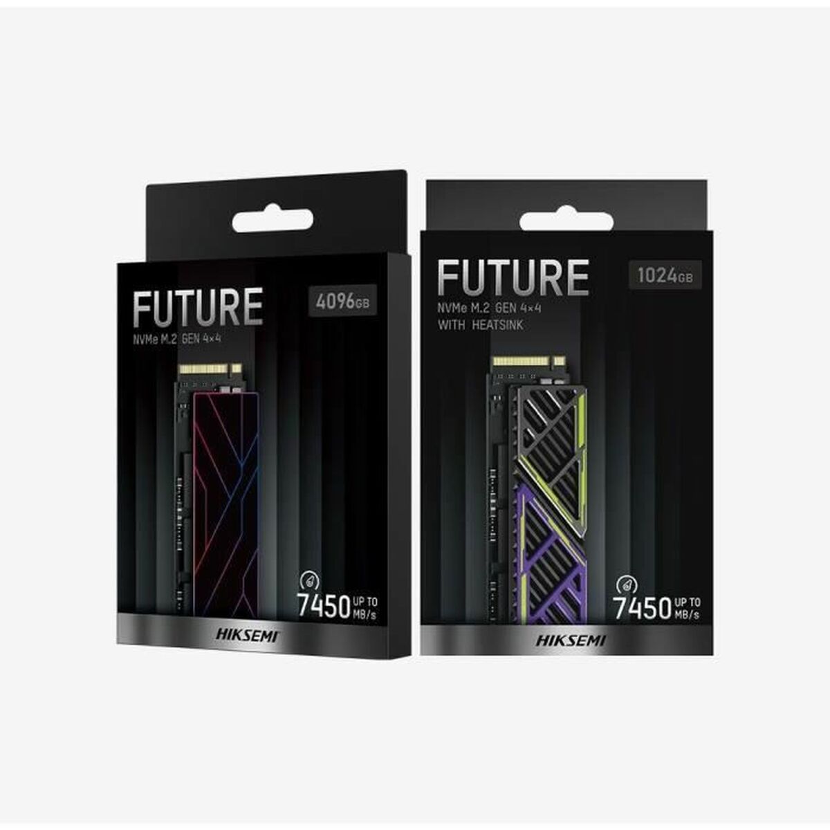 Hårddisk Hiksemi FUTURE 1 TB SSD - 5