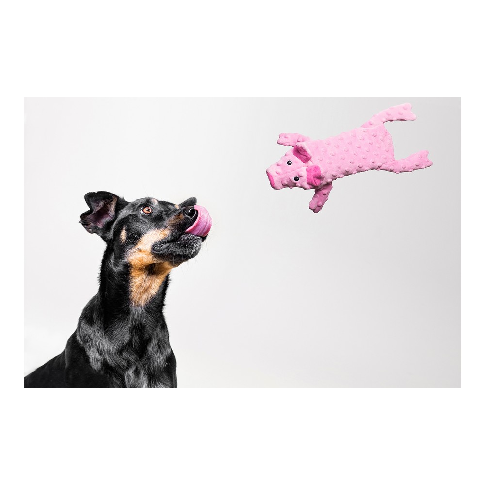 Mjuk leksak för hundar Gloria Dogmonsters Rosa 100 % polyester Gris 34 x 9 cm - 5