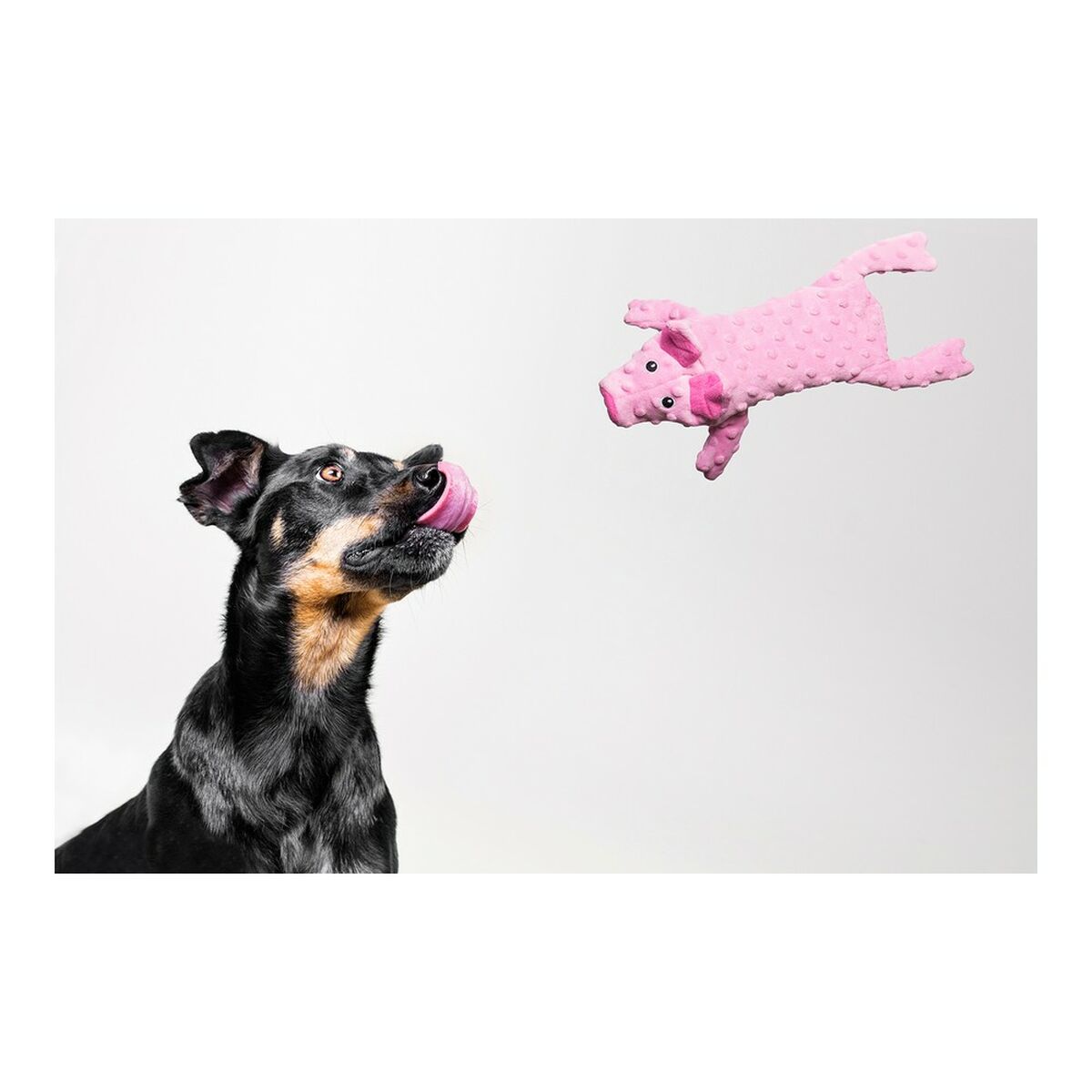 Mjuk leksak för hundar Gloria Dogmonsters Rosa 100 % polyester Gris 34 x 9 cm - 15