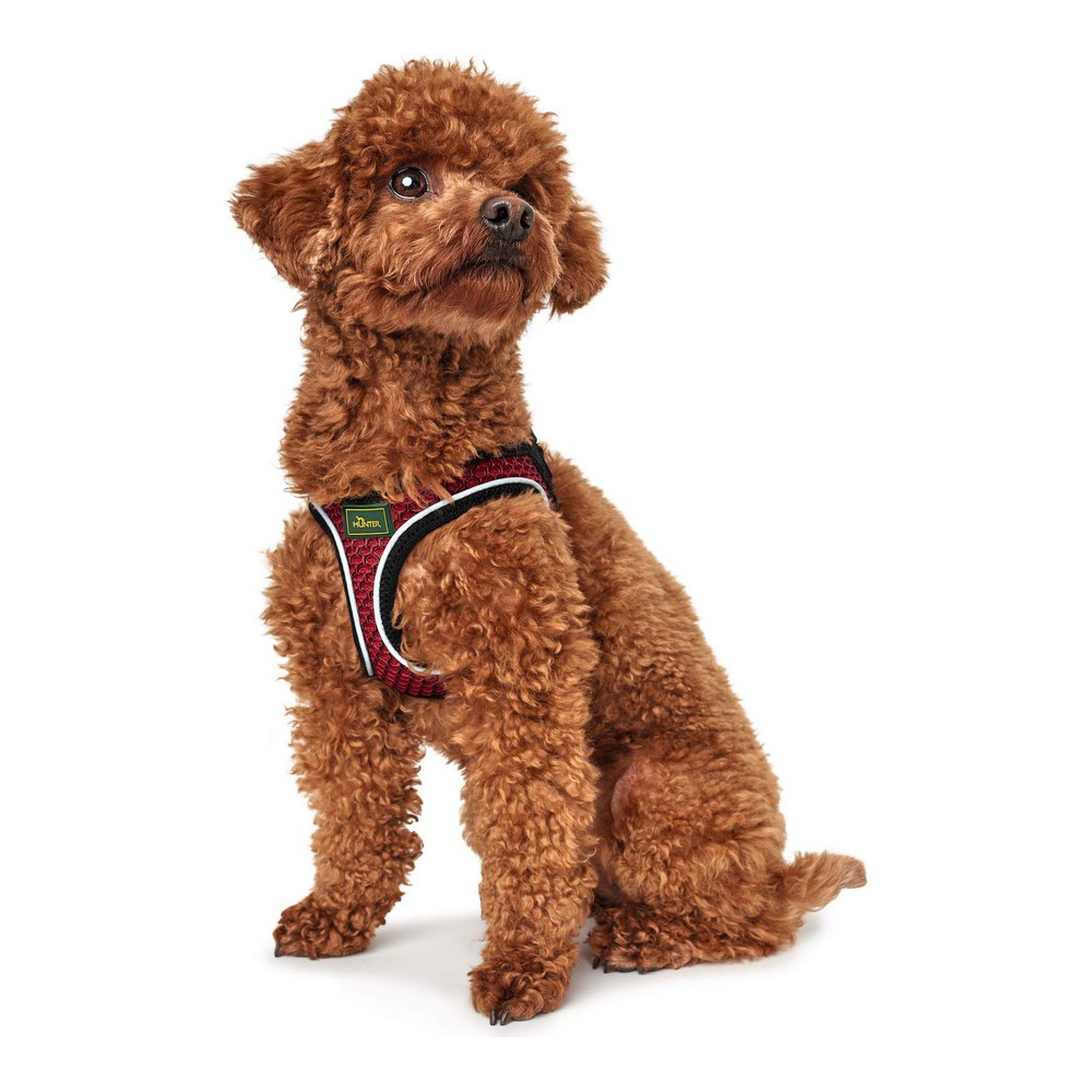 Hundsele Hunter Hilo-Comfort Röd S (42-48 cm) - 2