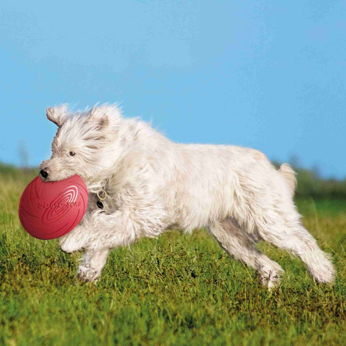 Frisbee Trixie   Blå Orange Gummi - 7
