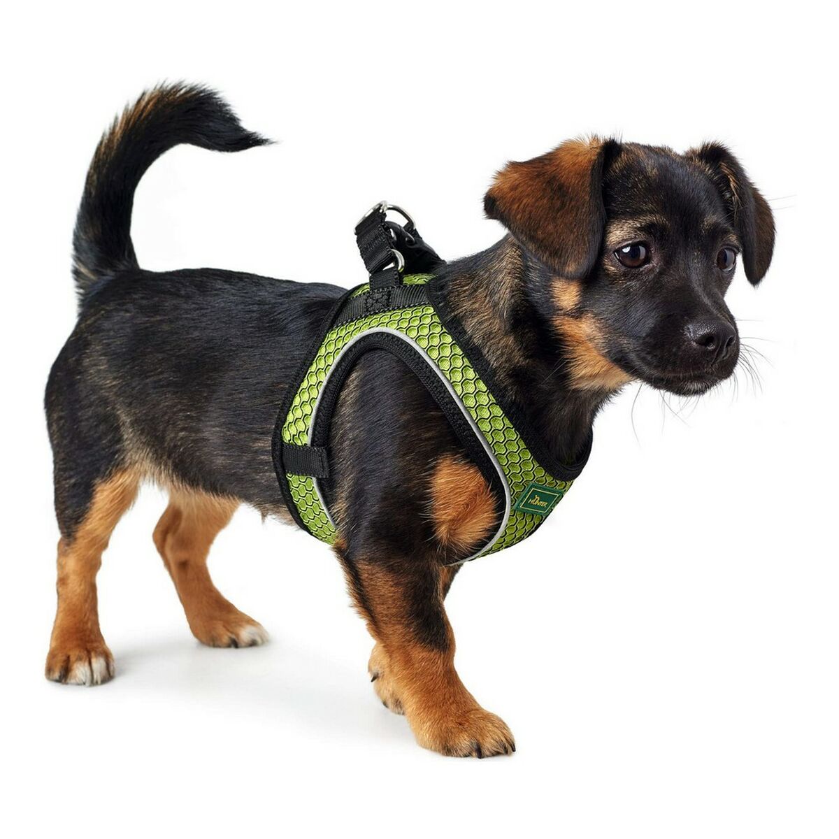 Hundsele Hunter Hilo-Comfort Lime Storlek XXS (26-30 cm) - 4