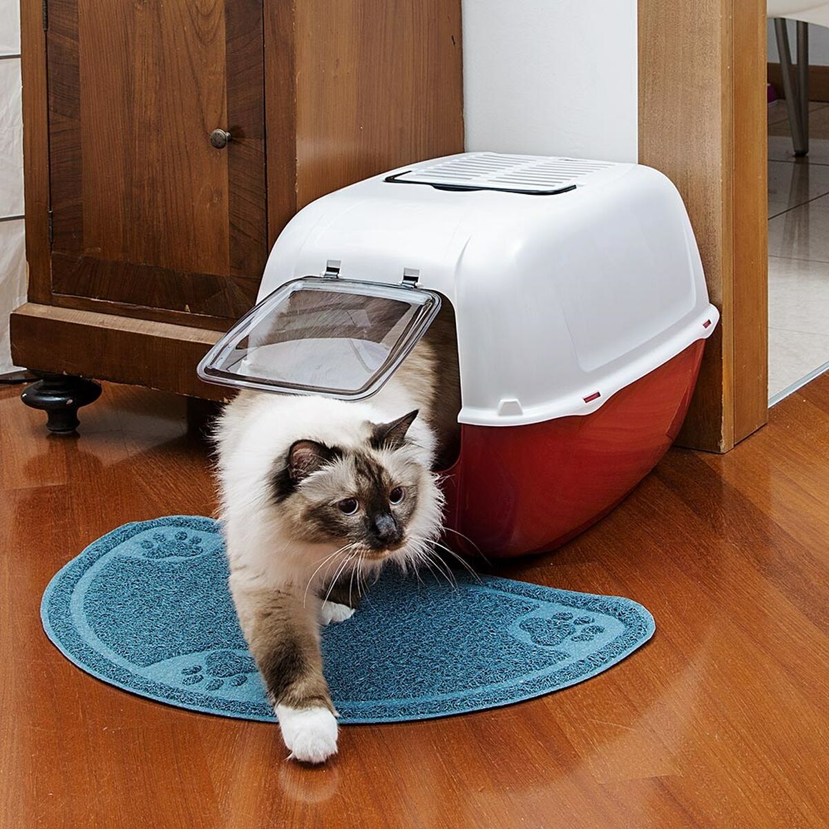 Kattlåda Ferplast Blå Plast 39,5 x 52,5 x 38 cm - 5