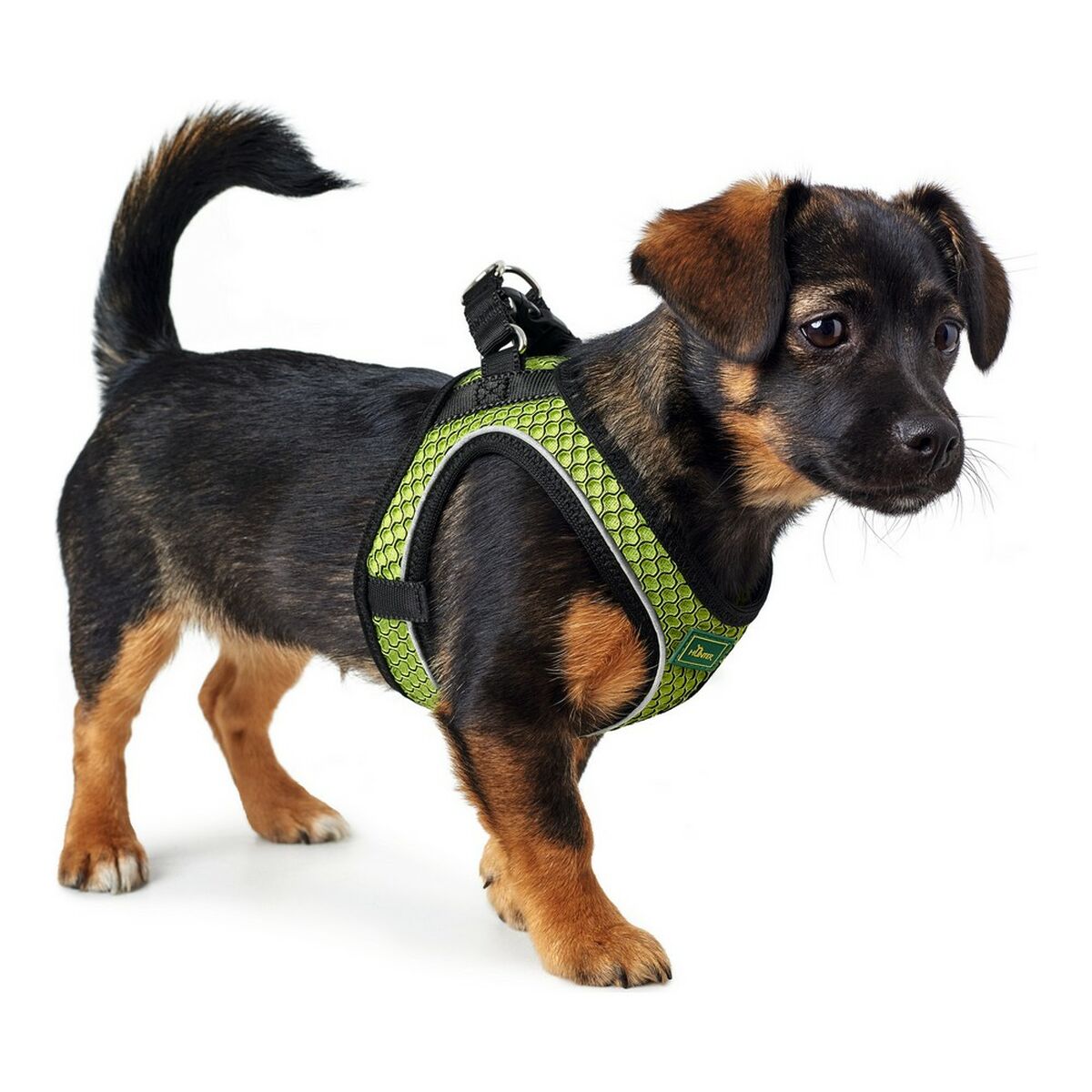 Hundsele Hunter Hilo-Comfort XS-S Lime (37-42 cm) - 4