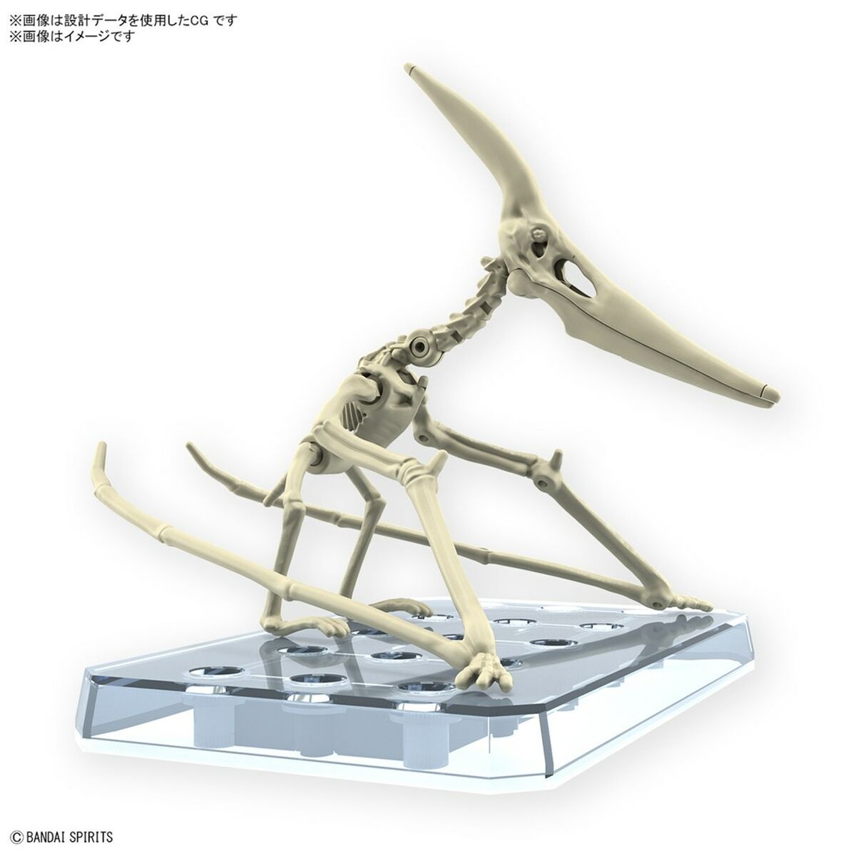 Actionfigurer Bandai PTERANODON