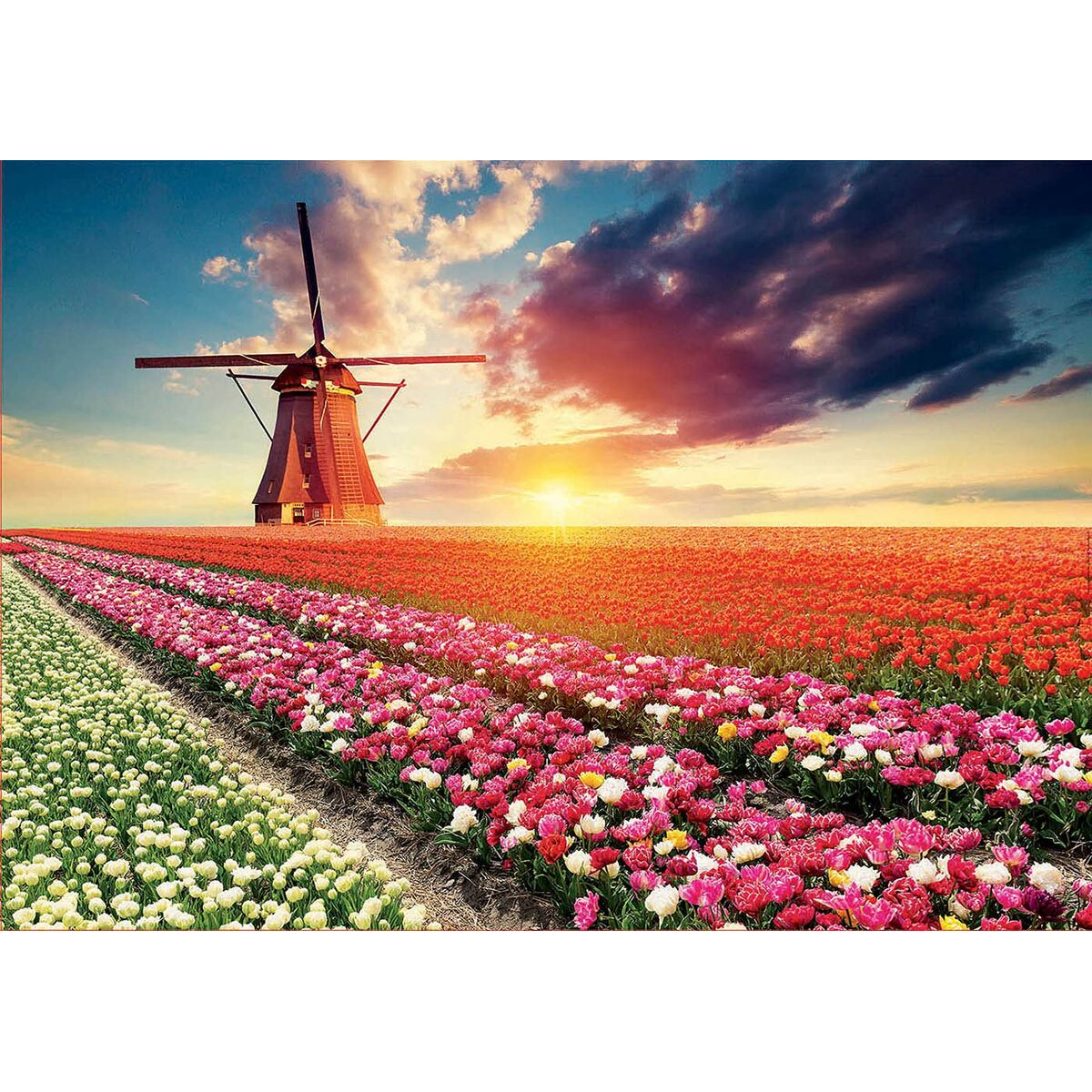 Pussel Educa Fields of Tulips 18465 1500 Delar - 2