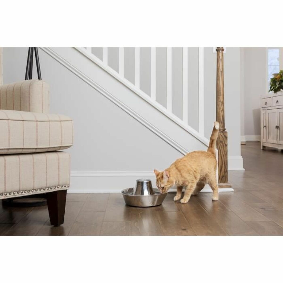Hundmatare PetSafe Silvrig Rostfritt stål 1,8 L - 3