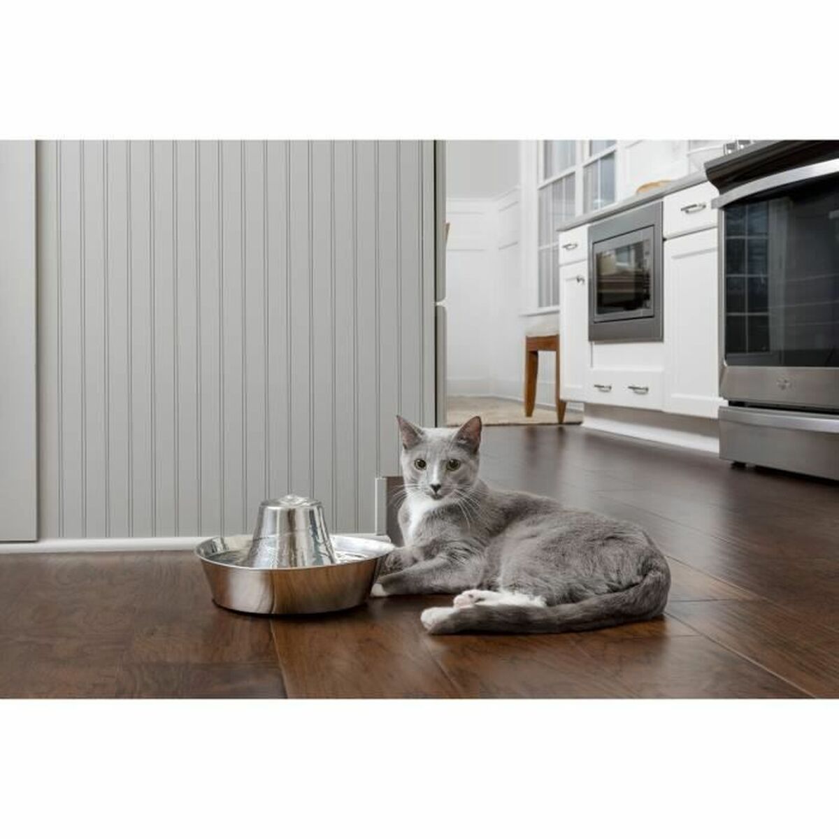 Hundmatare PetSafe Silvrig Rostfritt stål 1,8 L - 4