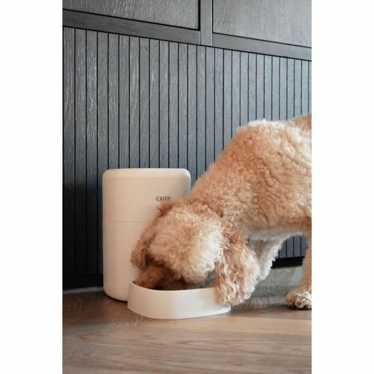 Automatisk matare Calex Smart Petfeeder - 3