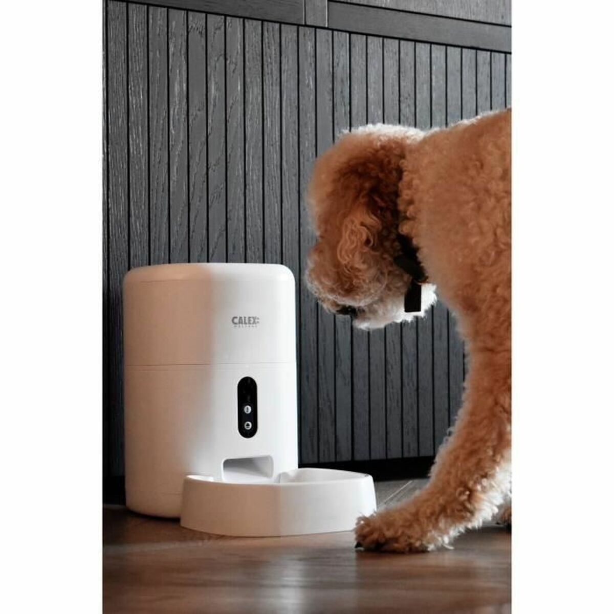 Automatisk matare Calex Smart Petfeeder - 4