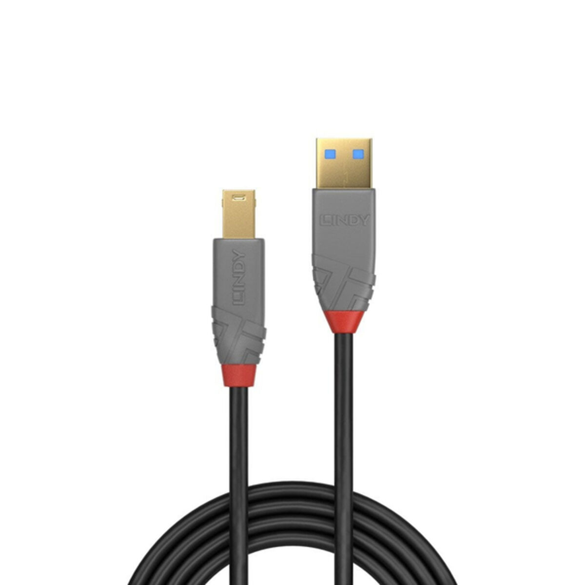 USB-kabel LINDY 36744 5 m Svart Grå - 2