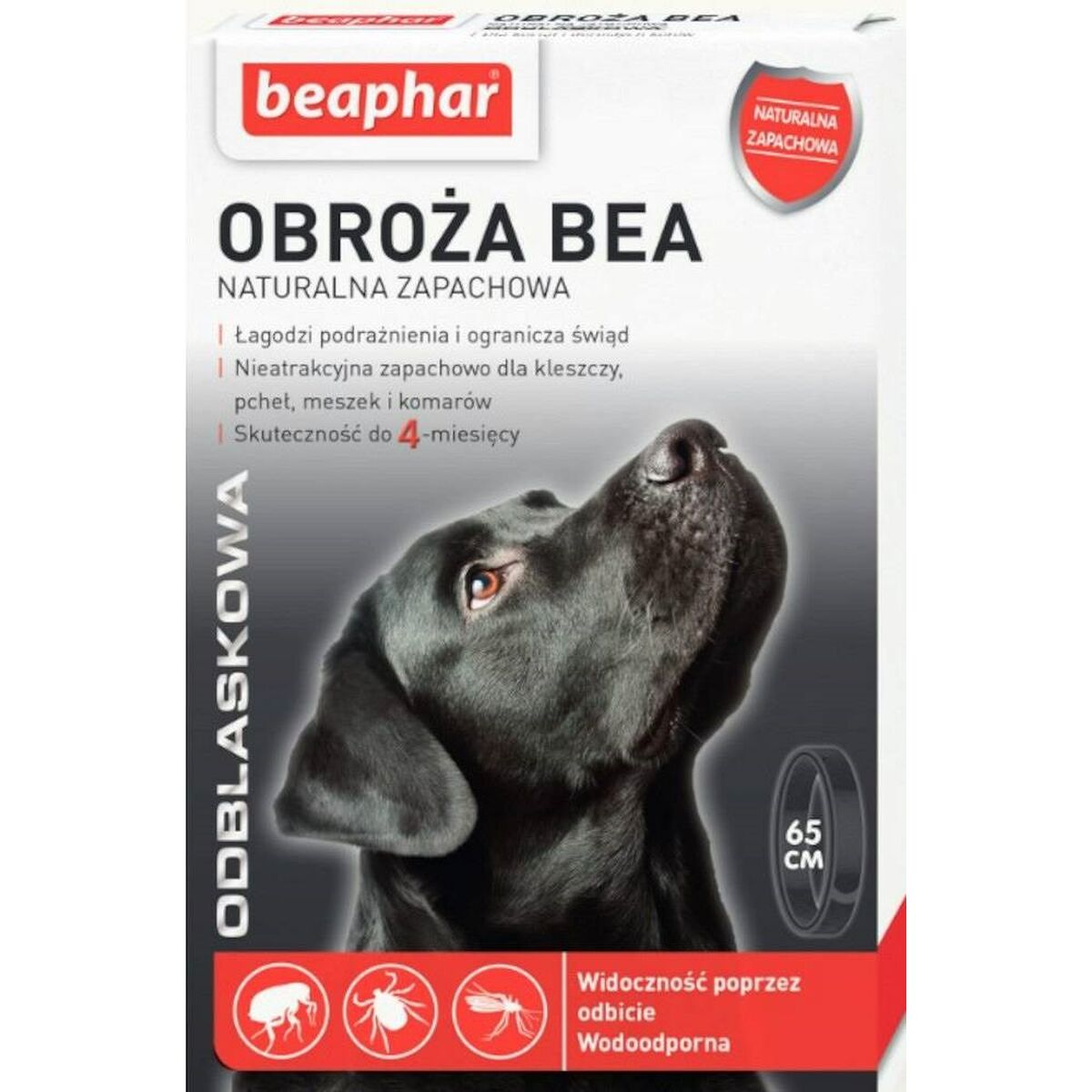 Hundhalsband Beaphar 65 cm Loppor och fästingar Svart Mörkgrå