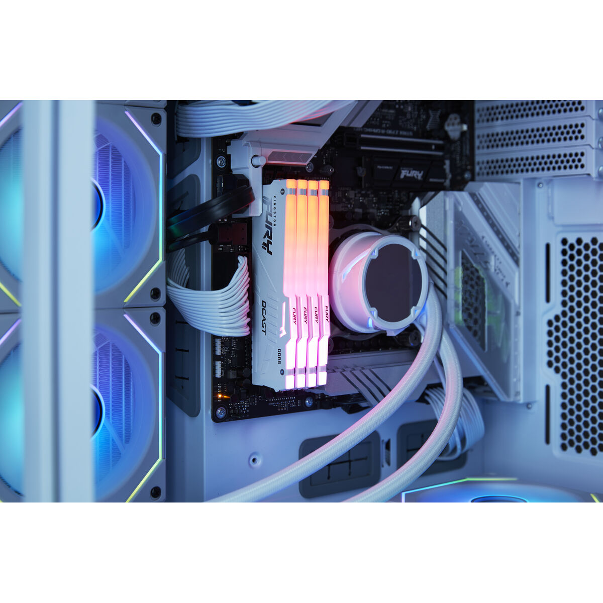 RAM-minne Kingston KF556C36BWEA-32 32 GB DDR5 SDRAM DDR5 - 5