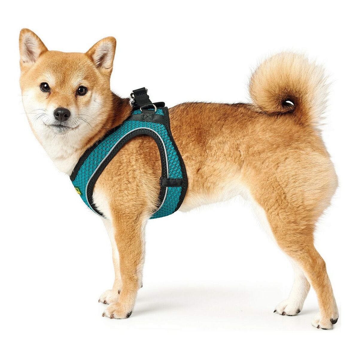 Hundsele Hunter Hilo-Comfort Turkos XS-storlek (35-37 cm) - 5