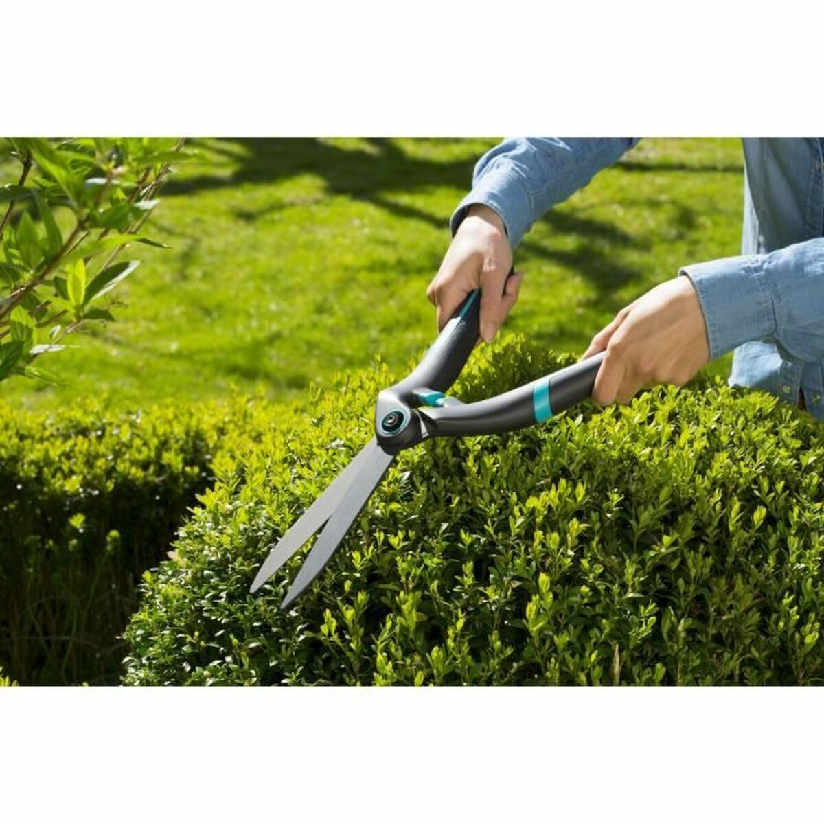 Tvåhands sekatör Gardena Boxwood - 6