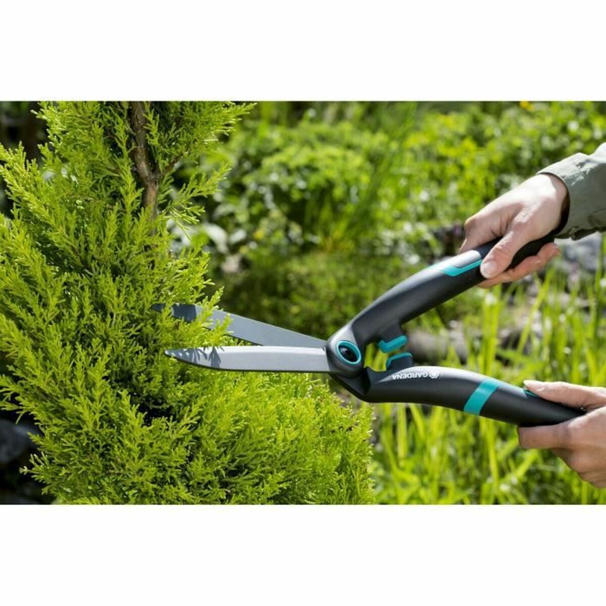 Tvåhands sekatör Gardena Boxwood - 2