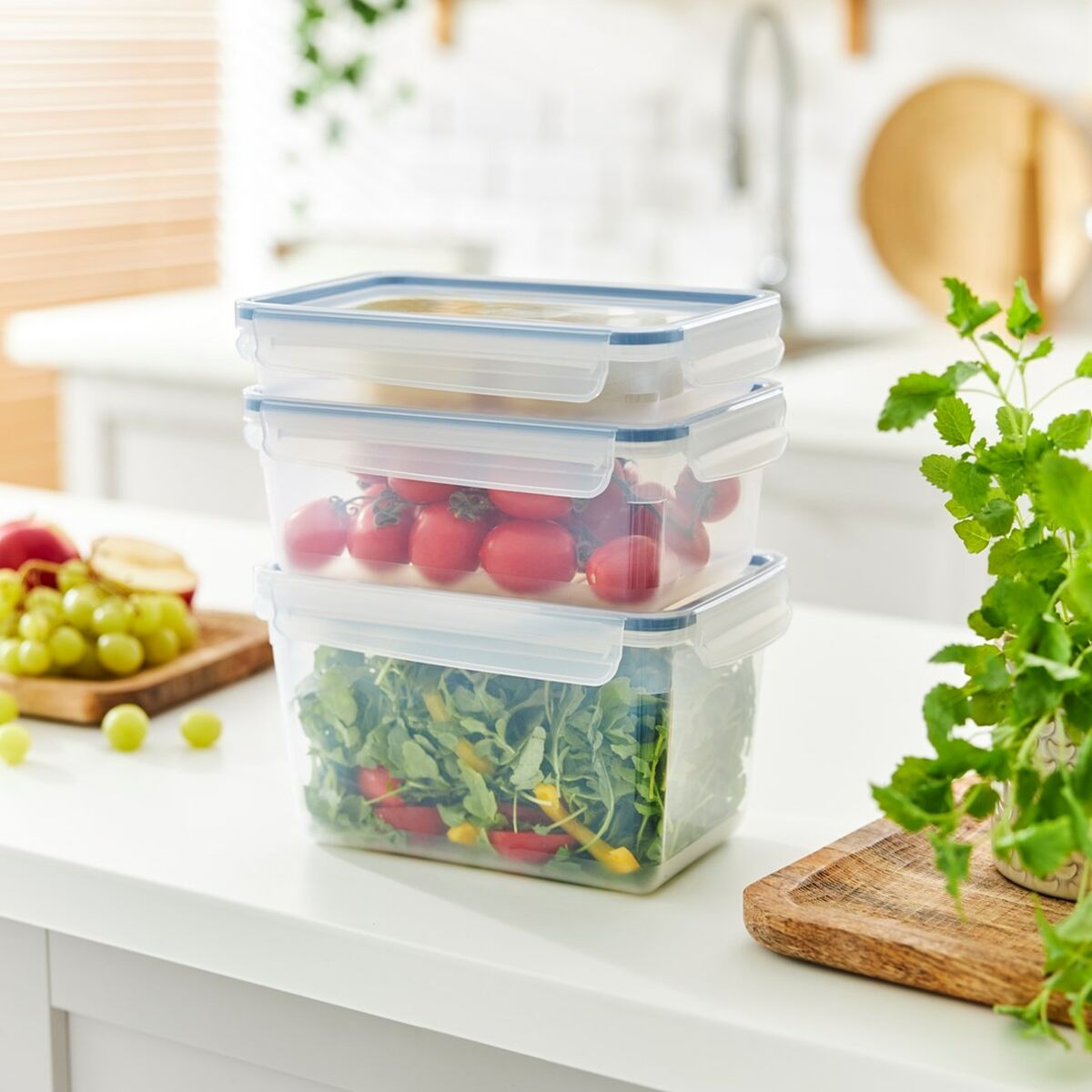 Hinkbehållare Rotho Svart Återvunnen plast - 3