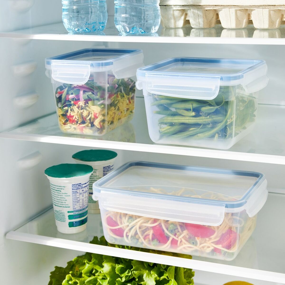 Hinkbehållare Rotho Svart Återvunnen plast - 2