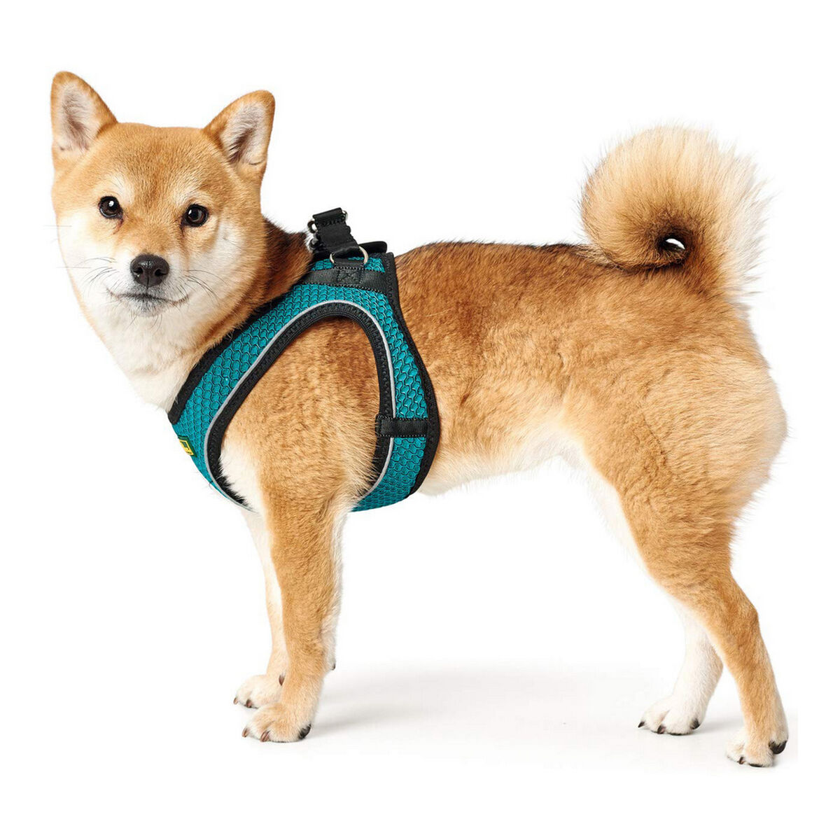 Hundsele Hunter Hilo Comfort 55-60 cm Storlek M Turkos - 20