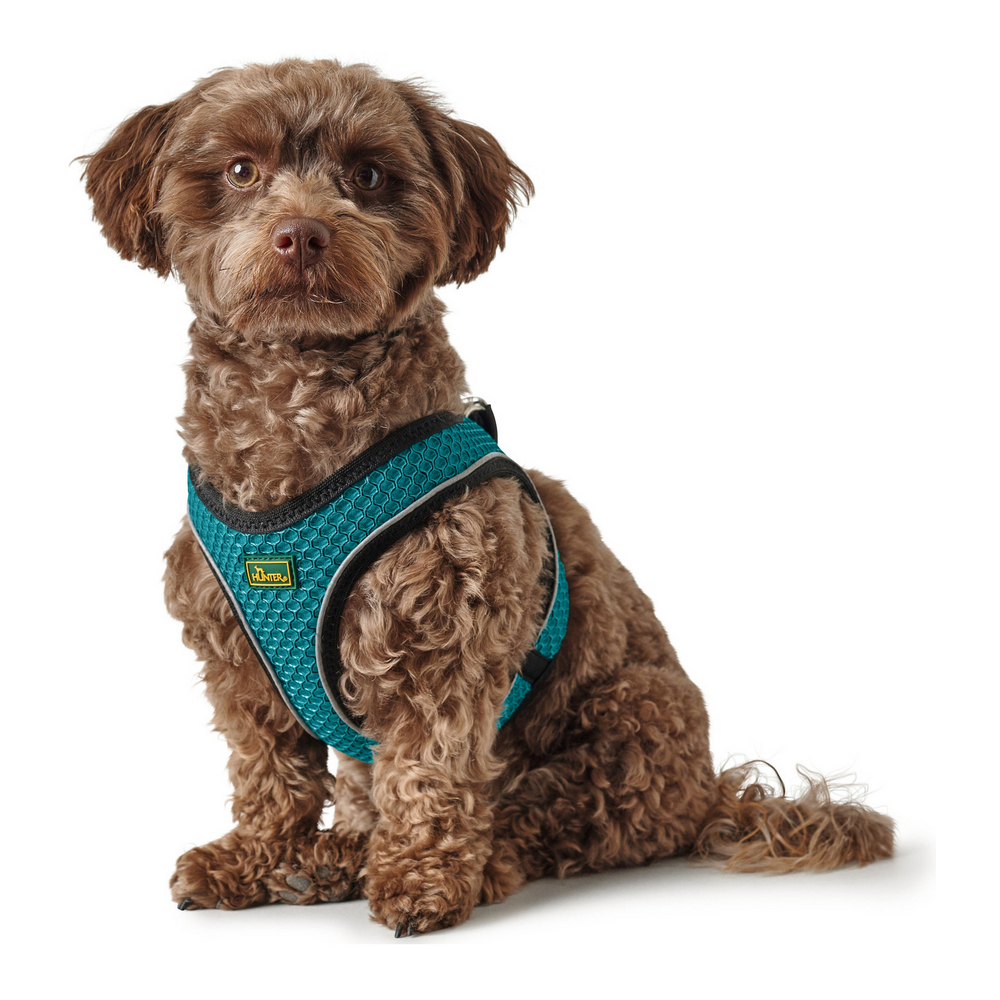 Hundsele Hunter Hilo Comfort 55-60 cm Storlek M Turkos - 5