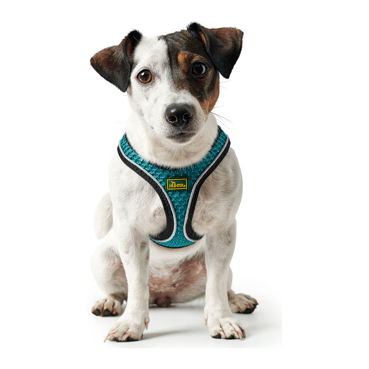 Hundsele Hunter Hilo Comfort 55-60 cm Storlek M Turkos - 18