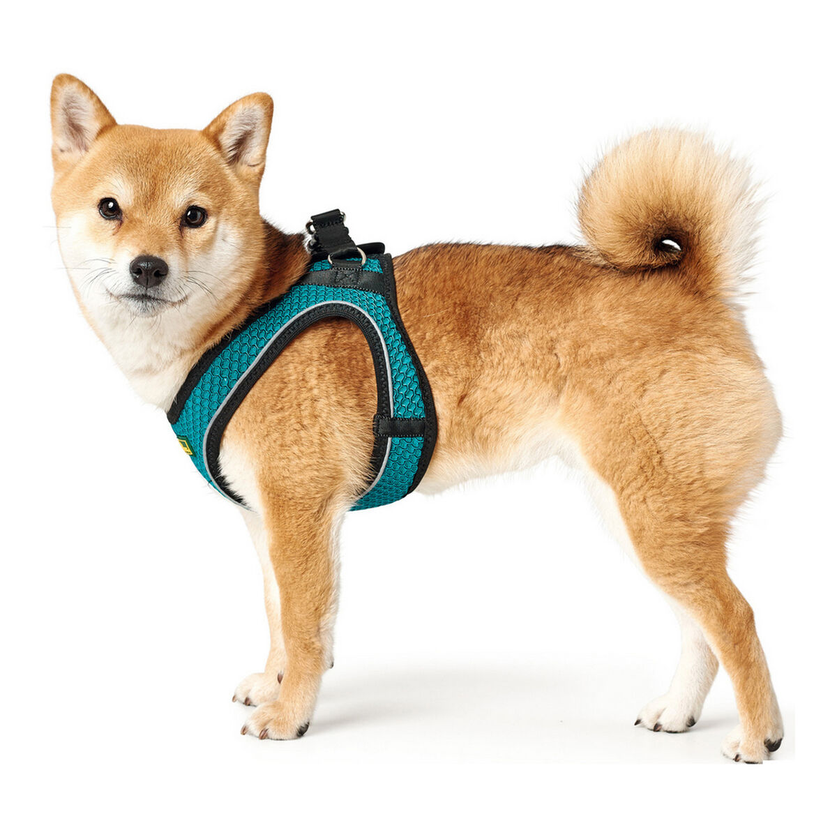 Hundsele Hunter Hilo Comfort 55-60 cm Storlek M Turkos - 11