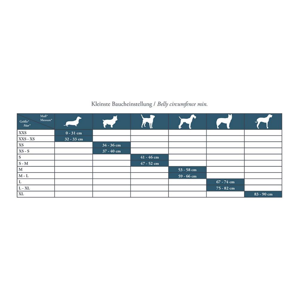 Hundsele Hunter Hilo Comfort 55-60 cm Storlek M Turkos - 2