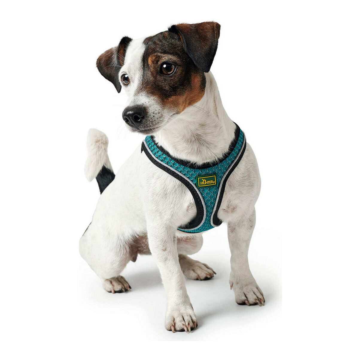 Hundsele Hunter Hilo Comfort 55-60 cm Storlek M Turkos - 22