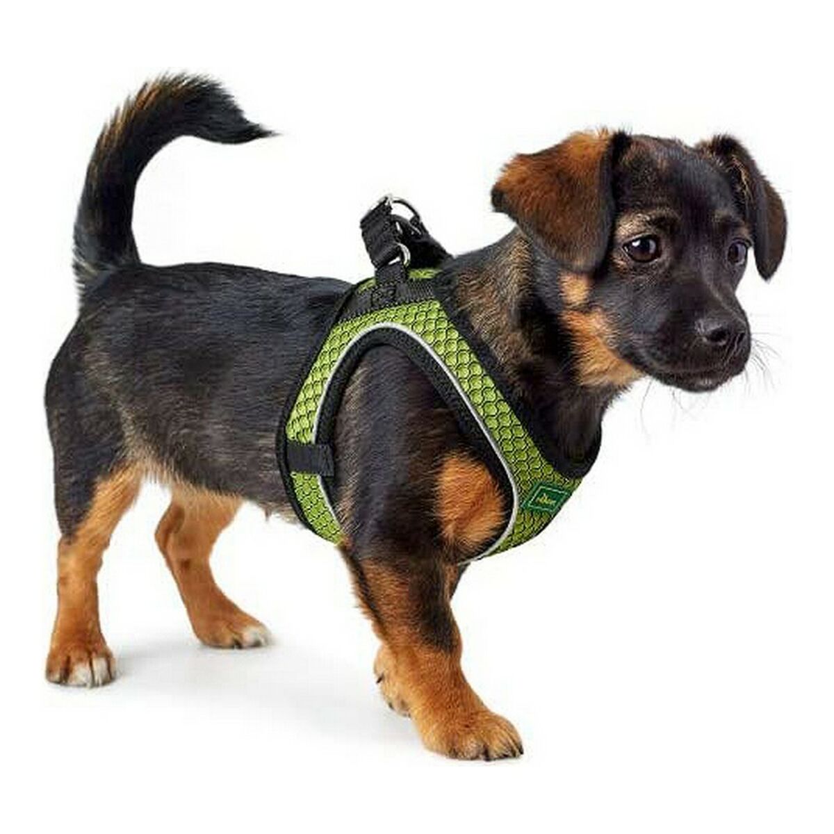 Hundsele Hunter Hilo-Comfort Lime Storlek M/L (58-63 cm) - 4