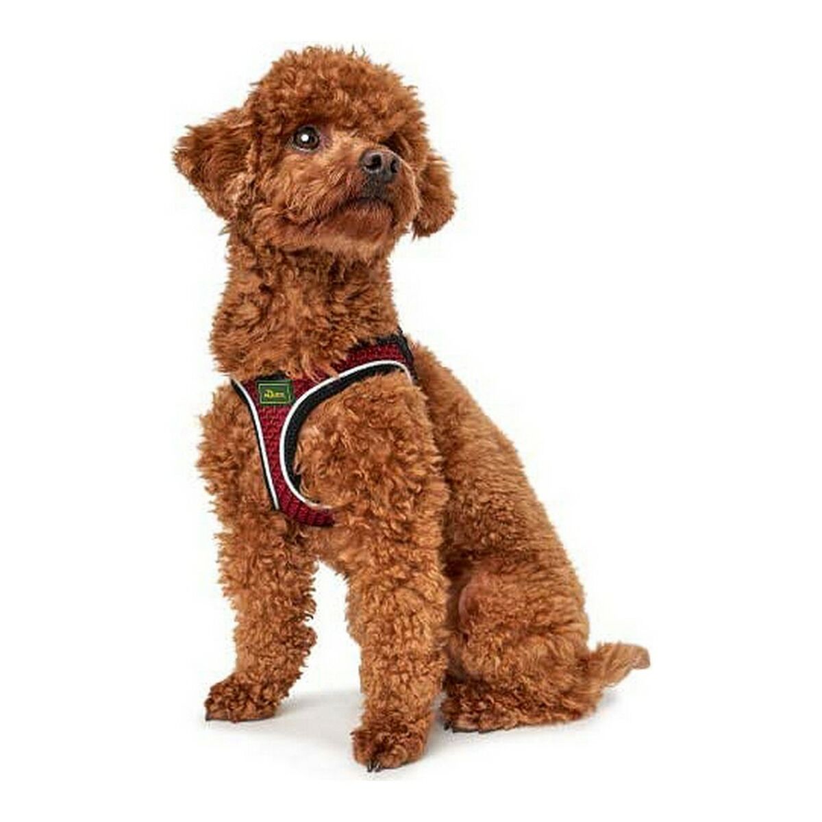 Hundsele Hunter Hilo-Comfort Röd M/L (58-63 cm) - 4