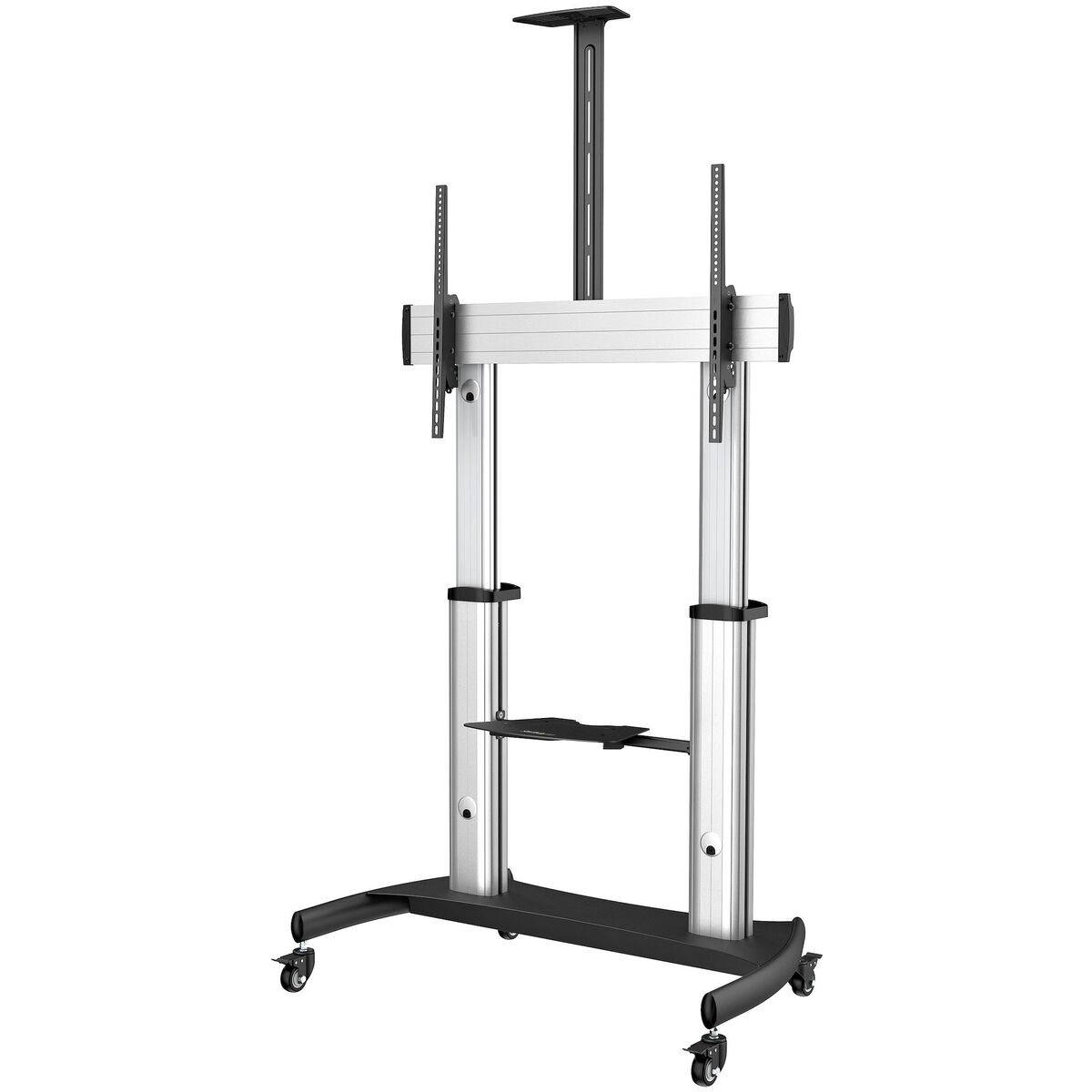 TV-fäste Startech STNDMTV100 100"