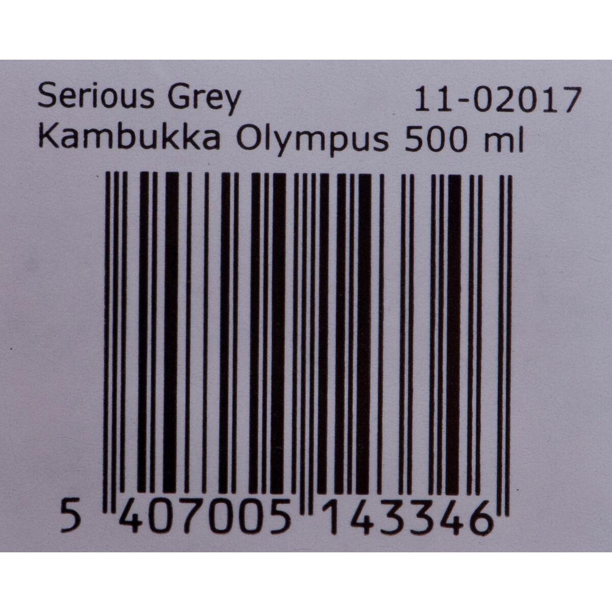Termos Kambukka Olympus Rostfritt stål 500 ml - 12