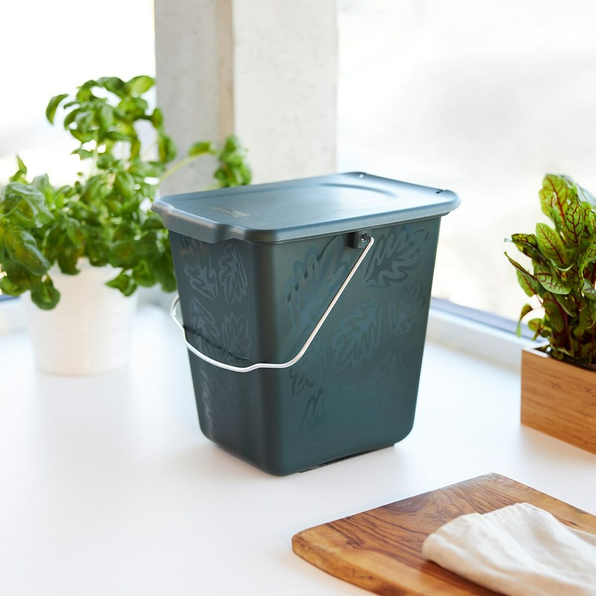 Hinkbehållare Rotho Grön Plast - 3