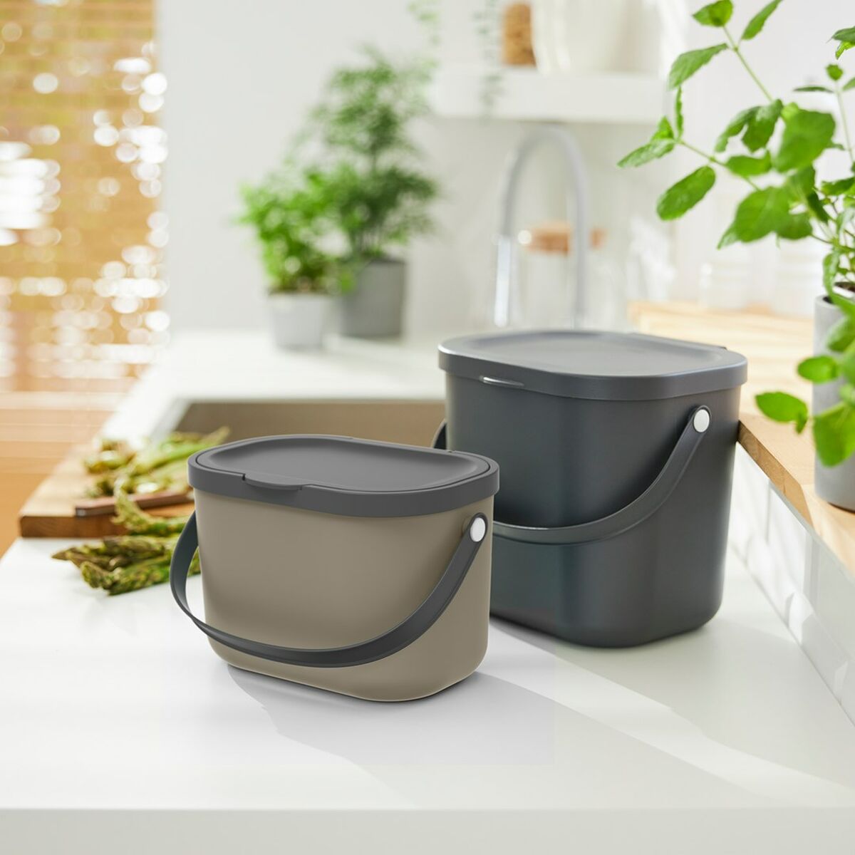 Hinkbehållare Rotho Återvunnen plast - 3