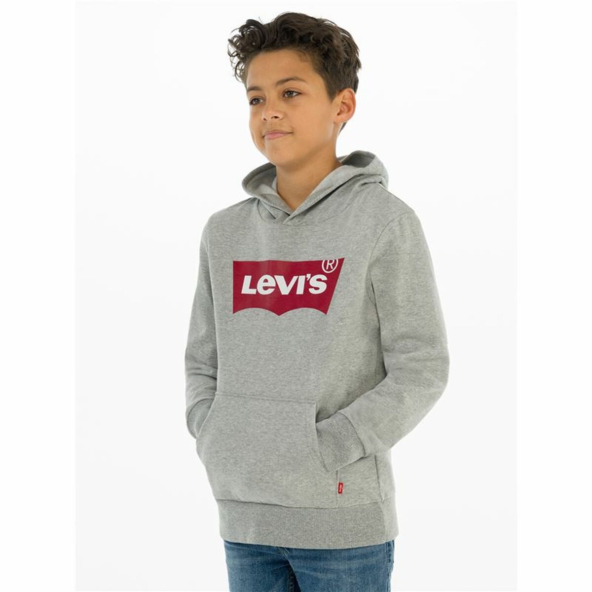 Tröja utan huva Herr Levi's Batwing Screenprint Grå - 9