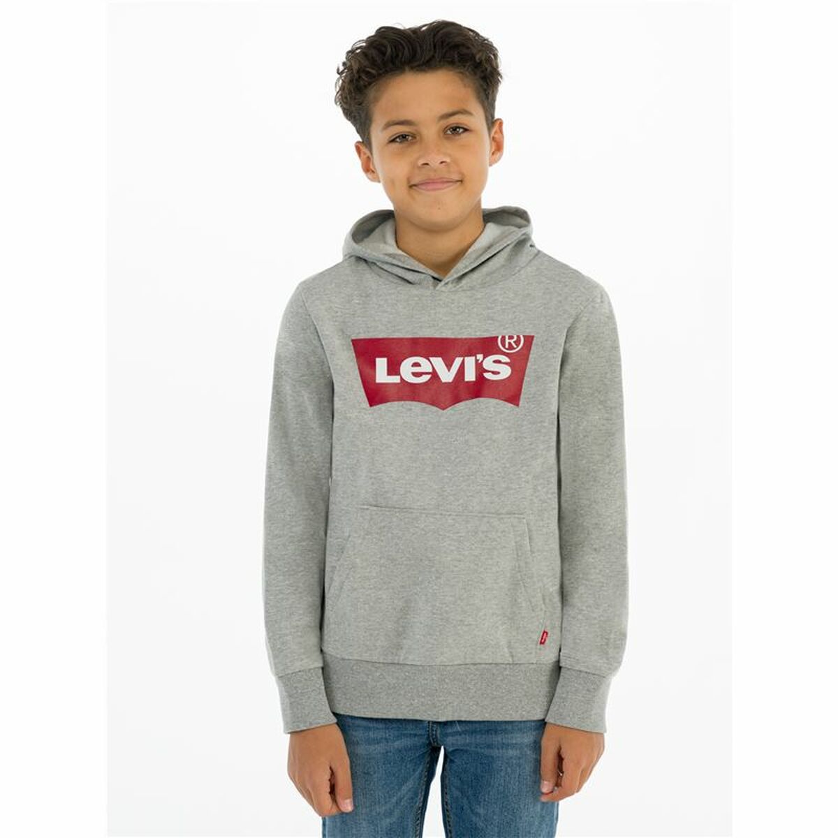 Tröja utan huva Herr Levi's Batwing Screenprint Grå - 13