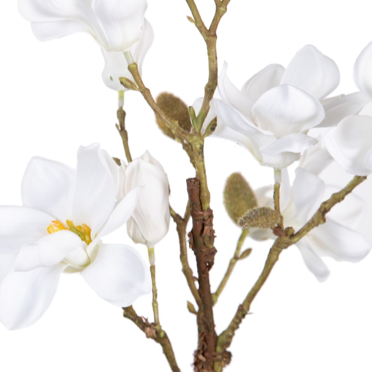 Dekorativ växt Polyester Polyetylen Järn 25 x 25 x 49 cm Magnolia - 2