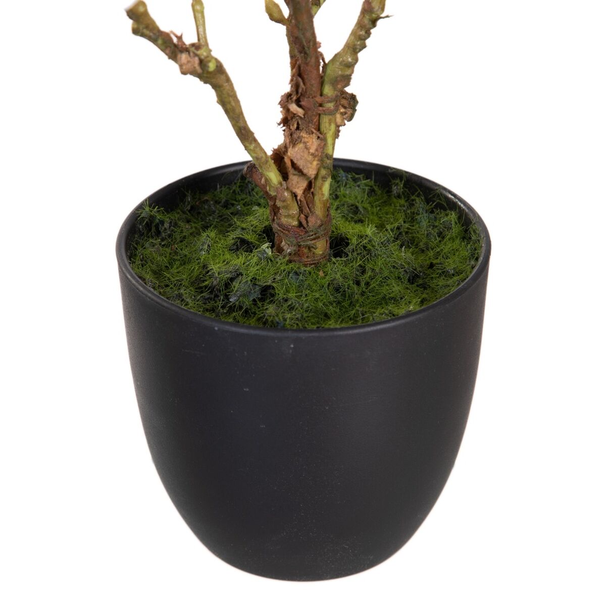Dekorativ växt Polyester Polyetylen Järn 25 x 25 x 49 cm Magnolia - 3